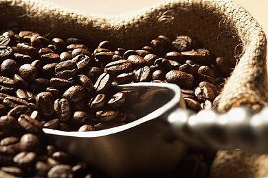 开放世界动作《Elements》公布 2022年登陆全平台